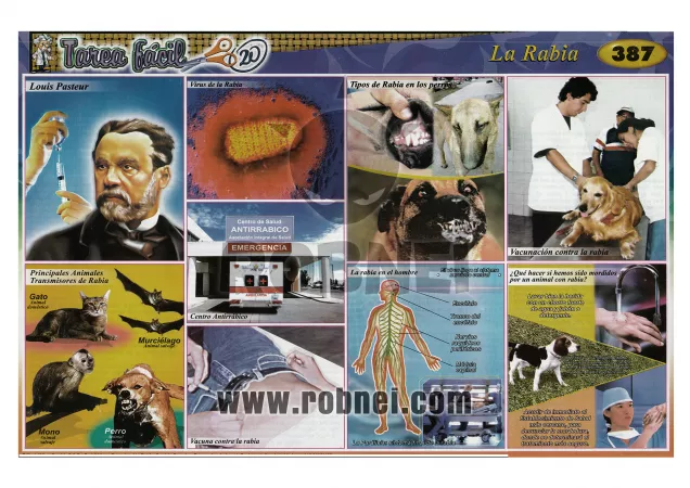 La Rabia